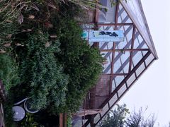 -桤木河湿地公园