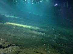 -白鹤梁水下博物馆