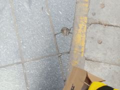 -UPUPKAFE  立咖啡(浏城桥店)