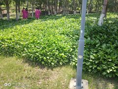 -莫子山公园