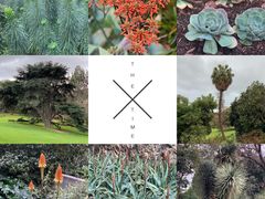 -墨尔本皇家植物园