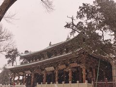 -晋祠公园