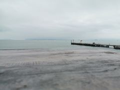 -采粤轩中餐厅(惠州金海湾喜来登度假酒店)