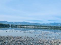 -野鸭湖国家湿地公园