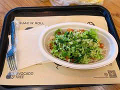 -油梨树 AVOCADO TREE(亮马桥店)