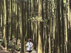 -山王坪喀斯特国家生态公园