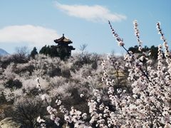 -白水寺森林公园