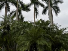 -人民公园(罗湖区)