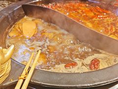 -蜀大侠火锅(建设路第五大道店)