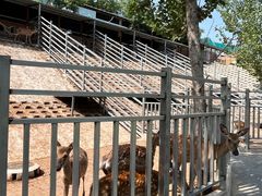 -北京鹿世界主题园