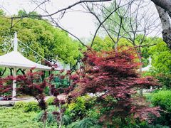 -新江湾城公园