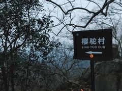 -紫金山山顶公园