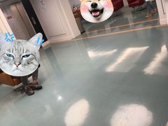 -杭州明视康眼科医院
