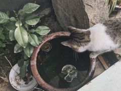-又合书舍