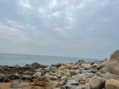 -广东惠东海龟国家级自然保护区