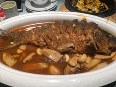 红烧黄河鲤鱼-阿五黄河大鲤鱼(英协路店)
