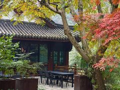 -十八棵（老龙井）御茶园(老龙井店)