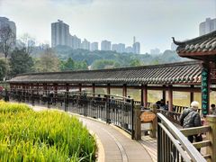-龙头寺公园