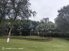 -龙头寺公园