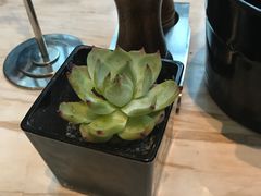 -新发展亚太JW万豪酒店·福苑咖啡厅