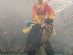 -龙江大舞台旗舰店