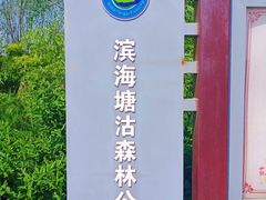 -塘沽森林公园