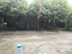 -勇士之星真人CS·团建·拓展(清水河公园店)