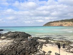 -真情鲍鱼海鲜汤