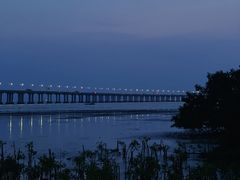 -宝安西湾红树林湿地公园