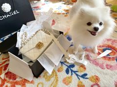 -Chanel(德基广场店)