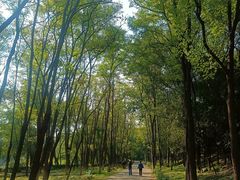 -云岗森林公园