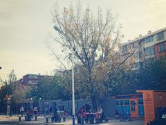 -京师双语幼儿园