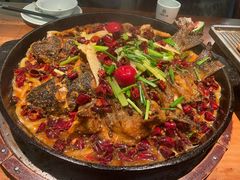-老板恋上鱼(振华商厦店)