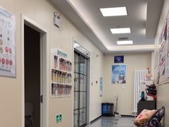 -美联众合爱康动物医院•复杂内科•肿瘤科•牙科•腔镜诊疗中心
