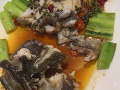 -锦粤宫·精致粤菜(深圳北站店)