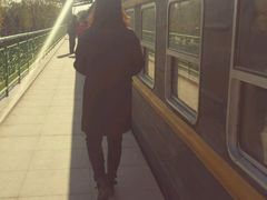 -永定河休闲森林公园