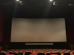 -AMG海上明珠影城(上海环球港RealDCinema店)