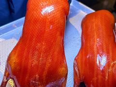 -四季小馆·潤·中国菜(越秀公园店)