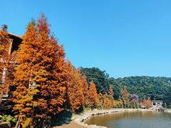 -广州市帽峰山景区