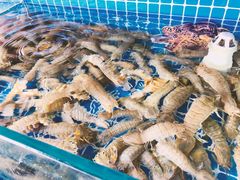 -张会海鲜饭店(东戴河店)