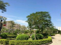 -黄冈中学(广州学校)