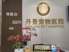 -丹景宠物医院·全科·老年病·牙科(武昌诊疗中心)