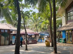 -海南分界洲岛旅游区