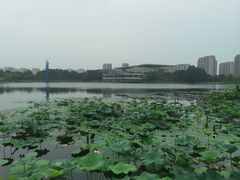 -海天湖公园