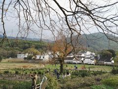 -塔川景区