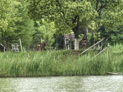 -苏州太湖国家湿地公园