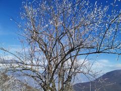 -太子岭滑雪场
