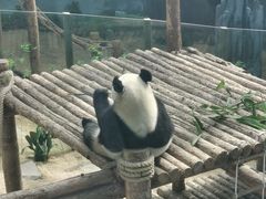 -大连森林动物园