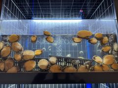 -纯味斑鱼府(上海总店)