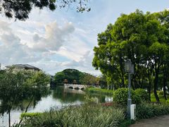 -顺峰山公园